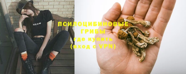 бошки Володарск
