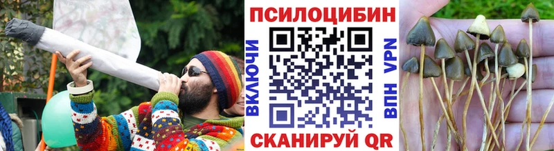 Галлюциногенные грибы Cubensis  blacksprut ссылка  Чишмы  даркнет клад  как найти закладки 